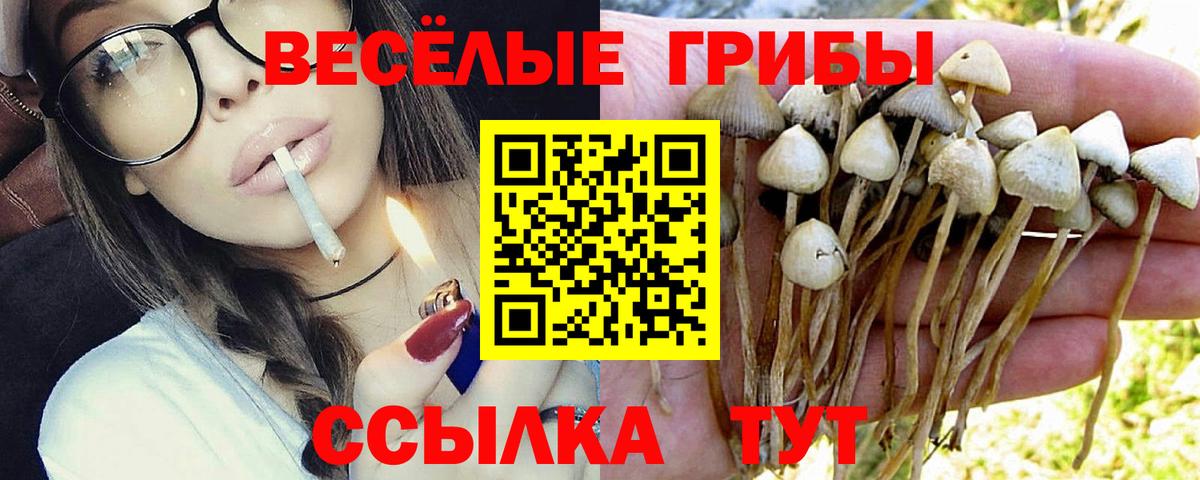 Карабулак  где купить наркотик  Вход с VPN  Псилоцибиновые грибы Cubensis  Псилоцибиновые грибы мухоморы 